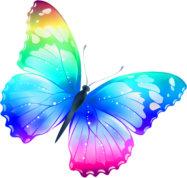 Vector Butterfly Png Photos (white, teal, blue, greenish blue)