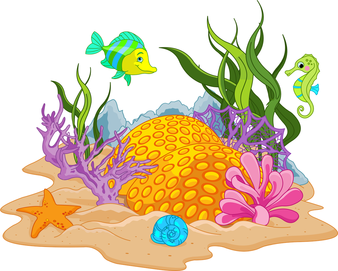 Vector Coral Reef Png Image (black, silver, salmon)