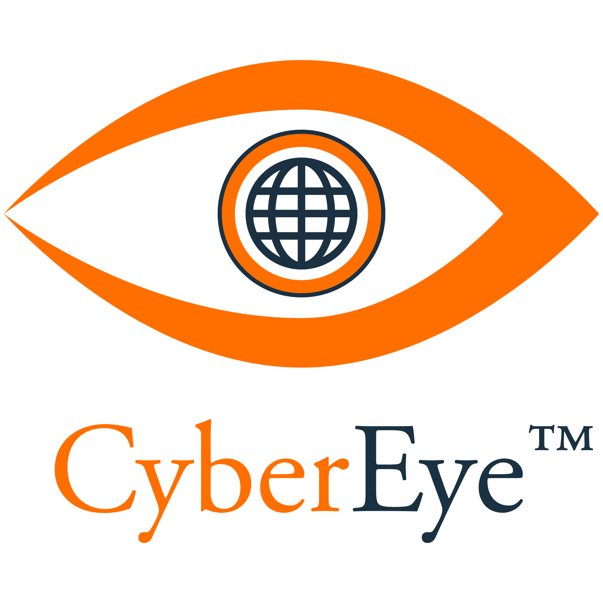 Vector Cybersecurity Transparent Png (black, orange)