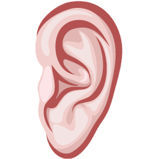 Vector Ear Png Picture (black, chocolate, silver, pink, beige)