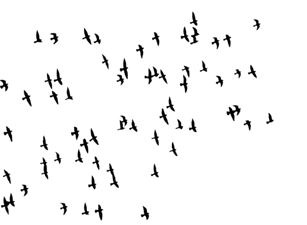 Vector Flock Of Birds Transparent Background (black)