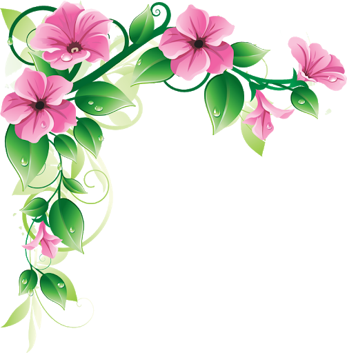 Vector Funeral Frame Png Transparent Image (pink, green, salmon, black)