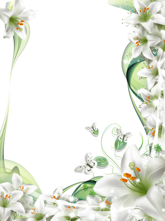 Vector Funeral Frame Transparent Png (white, black)