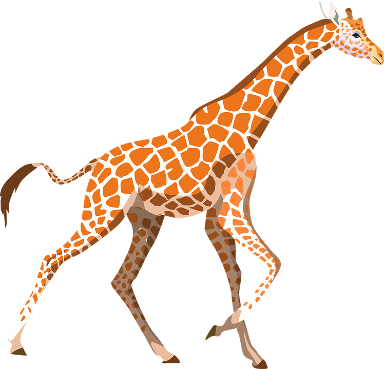 Vector Giraffe Png Free Download (chocolate, white, black)