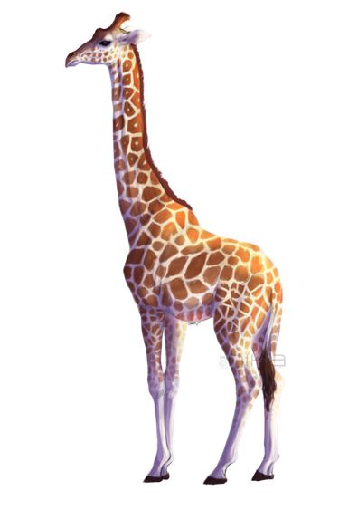 Vector Giraffe Png Pic 1 (black)