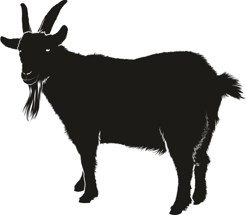 Vector Goat Black Png (black)