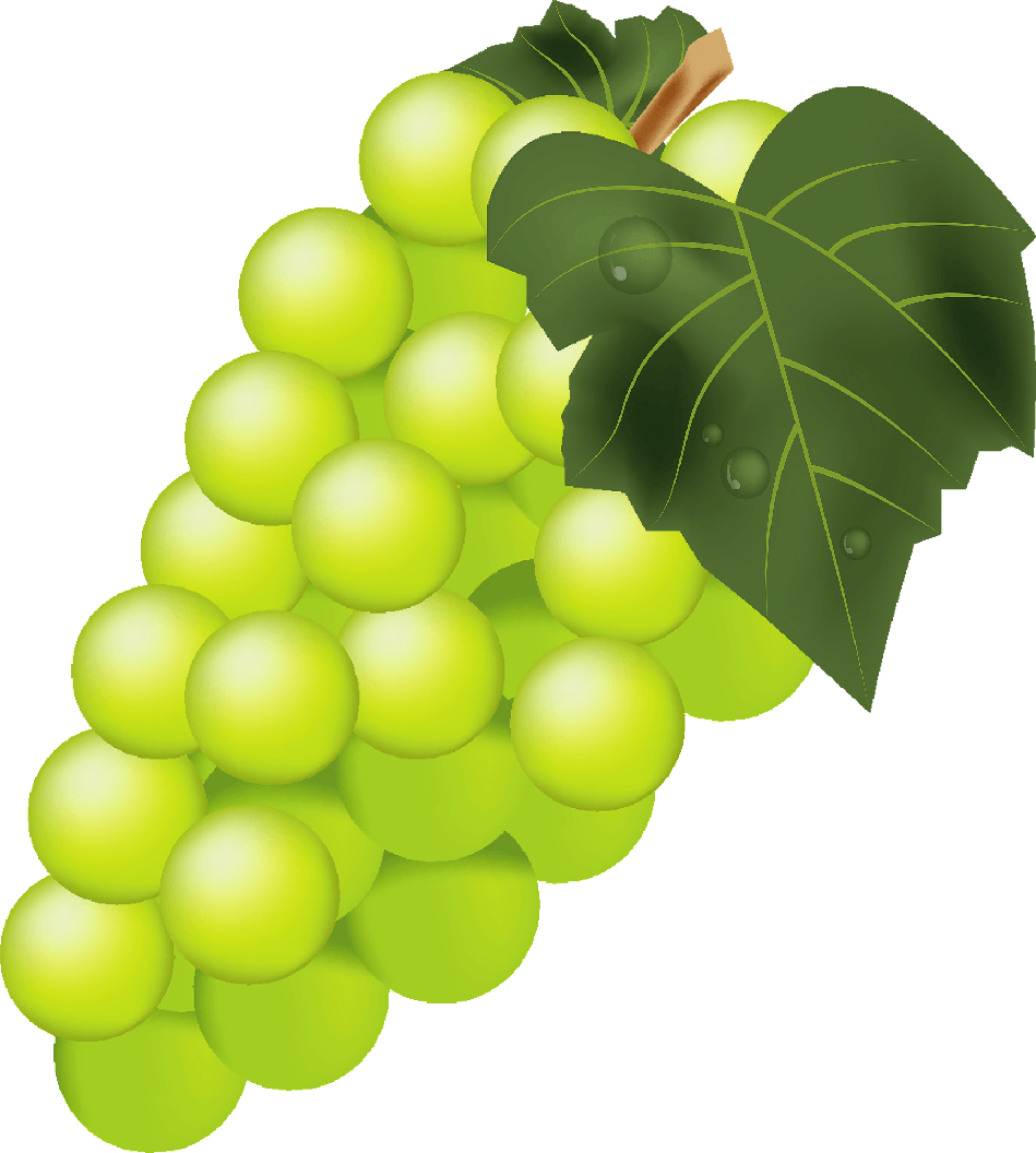 Vector Green Grapes Png File (olive, gold, gray)