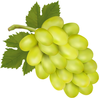 Vector Green Grapes Png Image (olive, black)