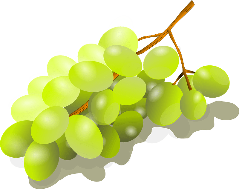 Vector Green Grapes Png Transparent Image (olive, white, gray)