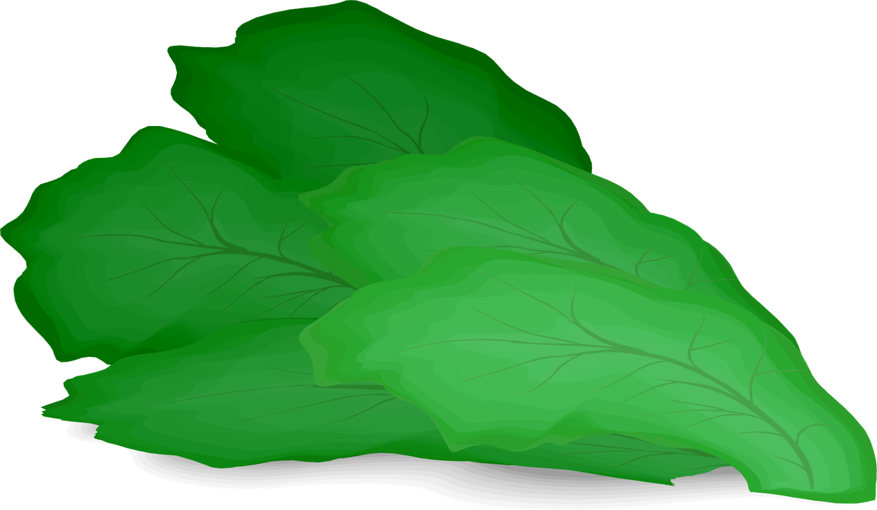 Vector Green Lettuce Png File (black, gray, teal, green)