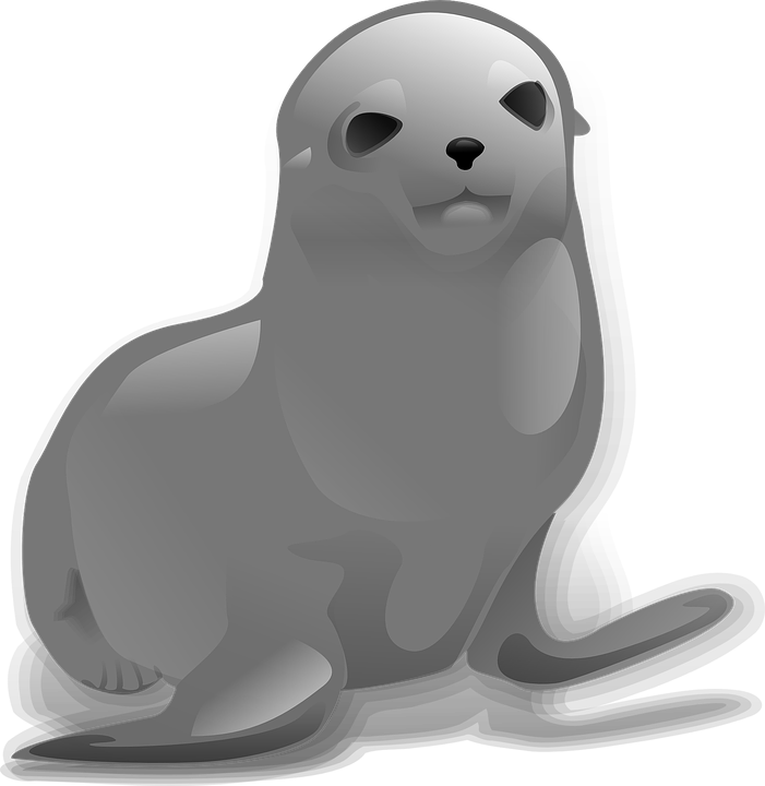 Vector Harbor Seal Png Pic (black, gray)