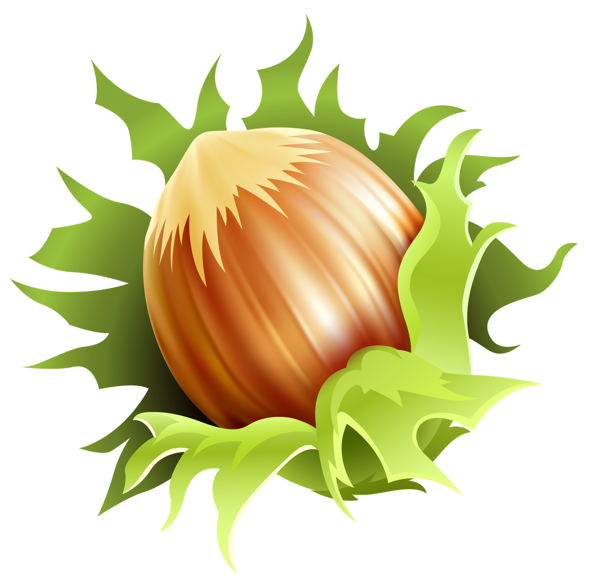 Vector Hazelnut Png File (olive, black)