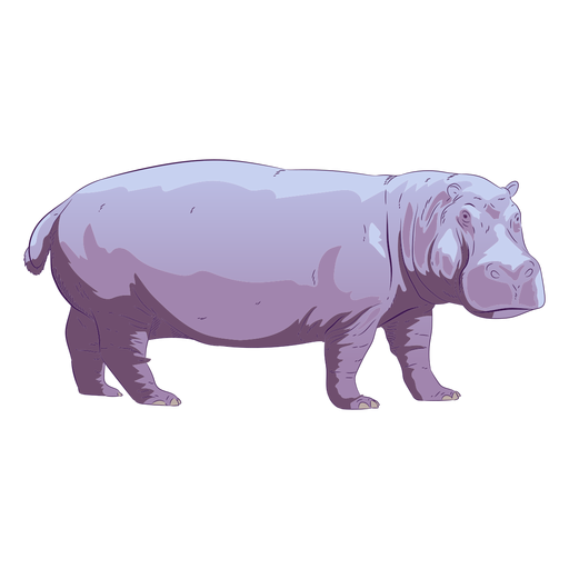 Vector Hippo Png Clipart (silver, lavender, gray, black)