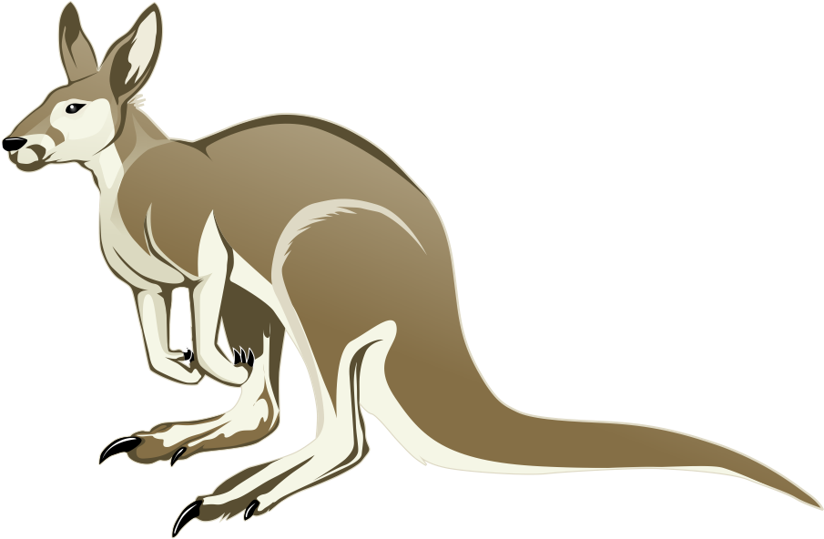 Vector Kangaroo Png Image (black, gray)