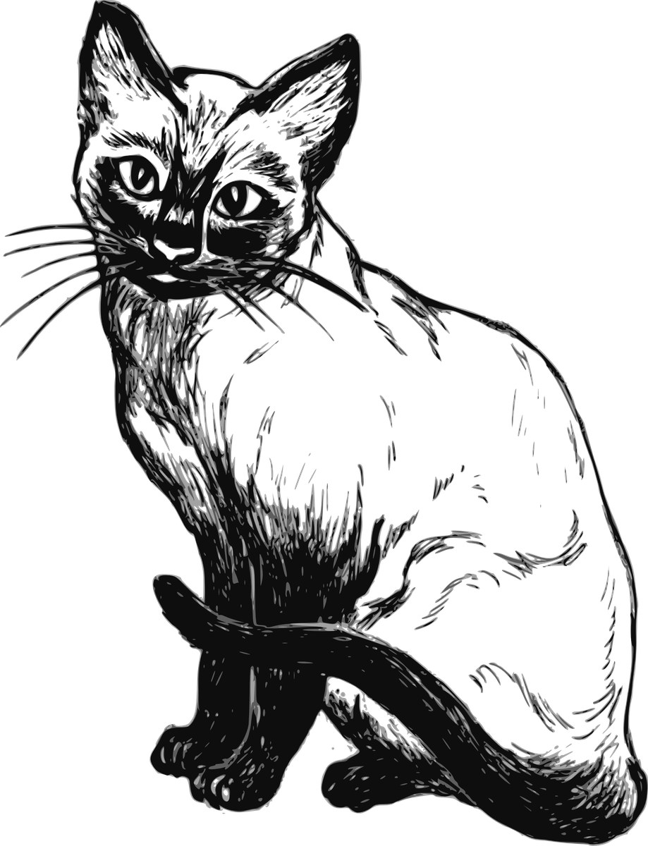 Vector Kitten Png Photos (black)