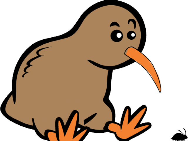 Vector Kiwi Bird Png Transparent Image (black, gray, chocolate)