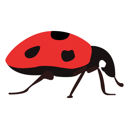 Vector Ladybug Insect Png Clipart (black, chocolate)