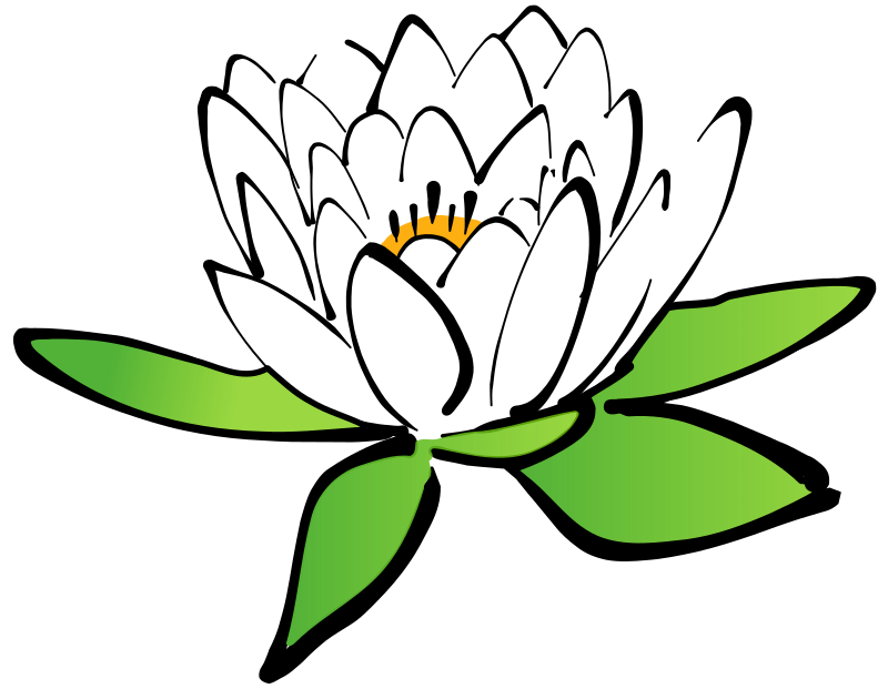 Vector Lotus Flower Png Transparent Image (black, olive)