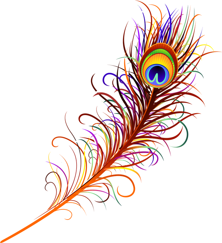 Vector Peacock Feather Transparent Background (black)