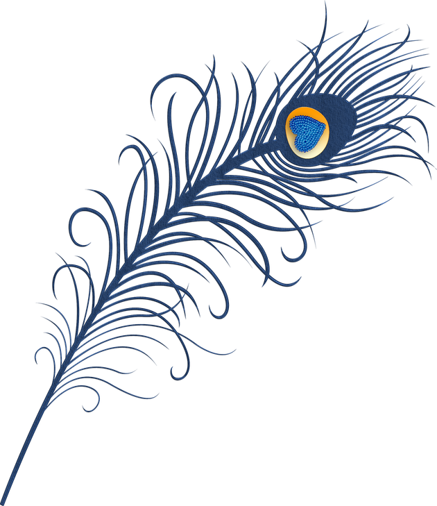 Vector Peacock Feather Transparent Png (black, indigo)