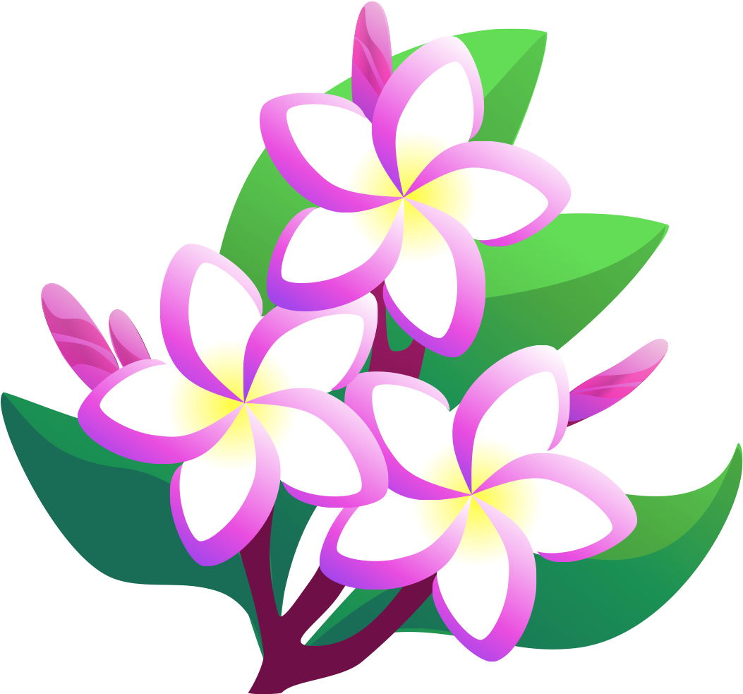 Vector Pink Frangipani Png File (gray, black, white, purple, teal)