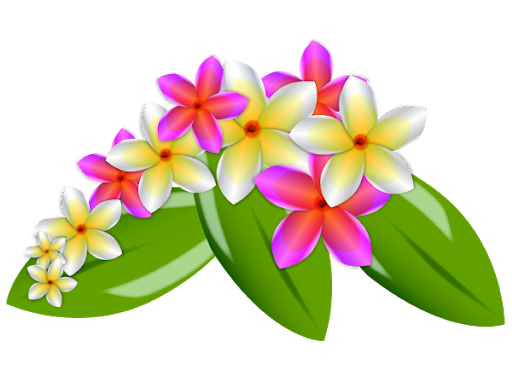 Vector Pink Frangipani Transparent Png (olive, black)