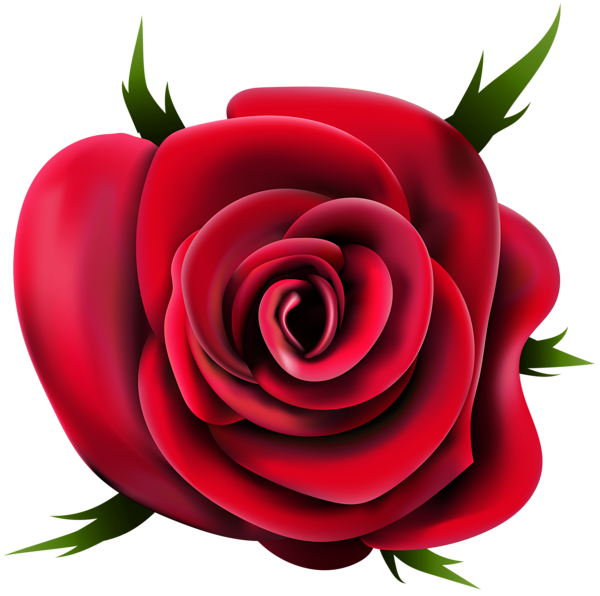 Vector Rose Flower Transparent Background (black, red, salmon)