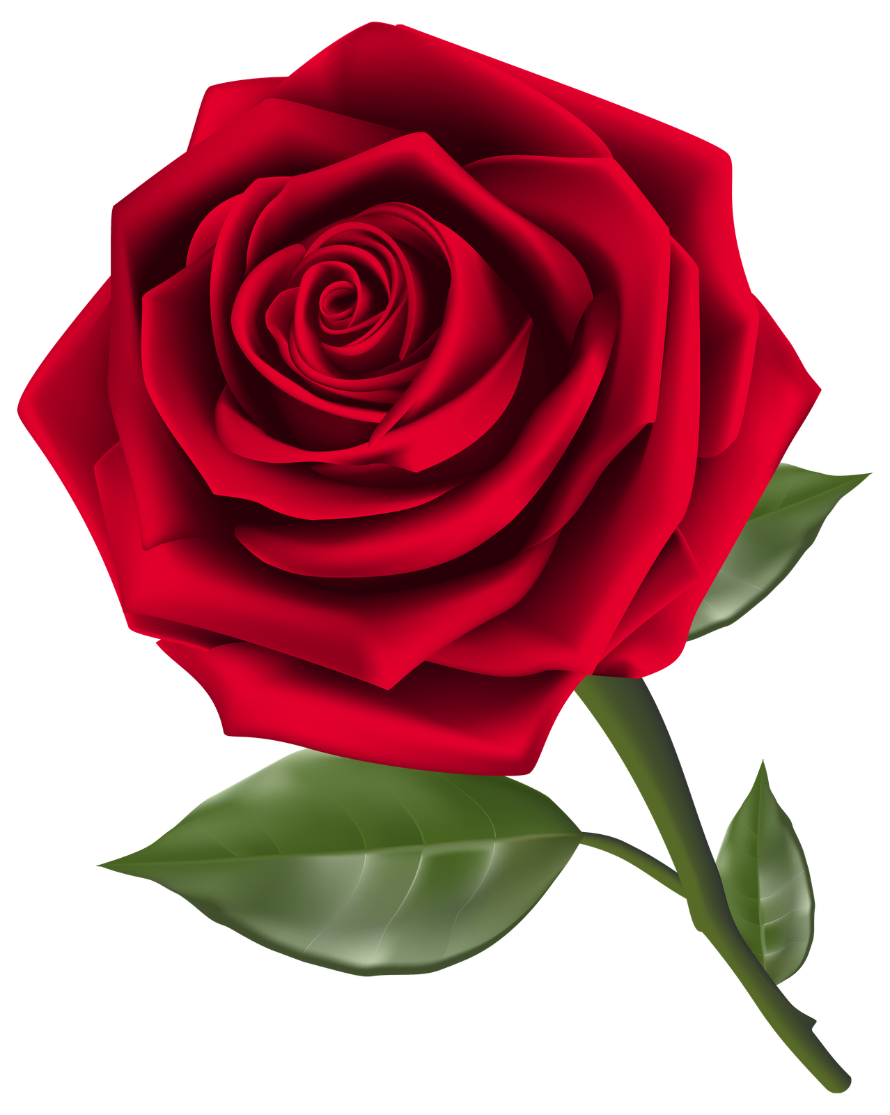 Vector Rose Flower Transparent Png (maroon, black, red)