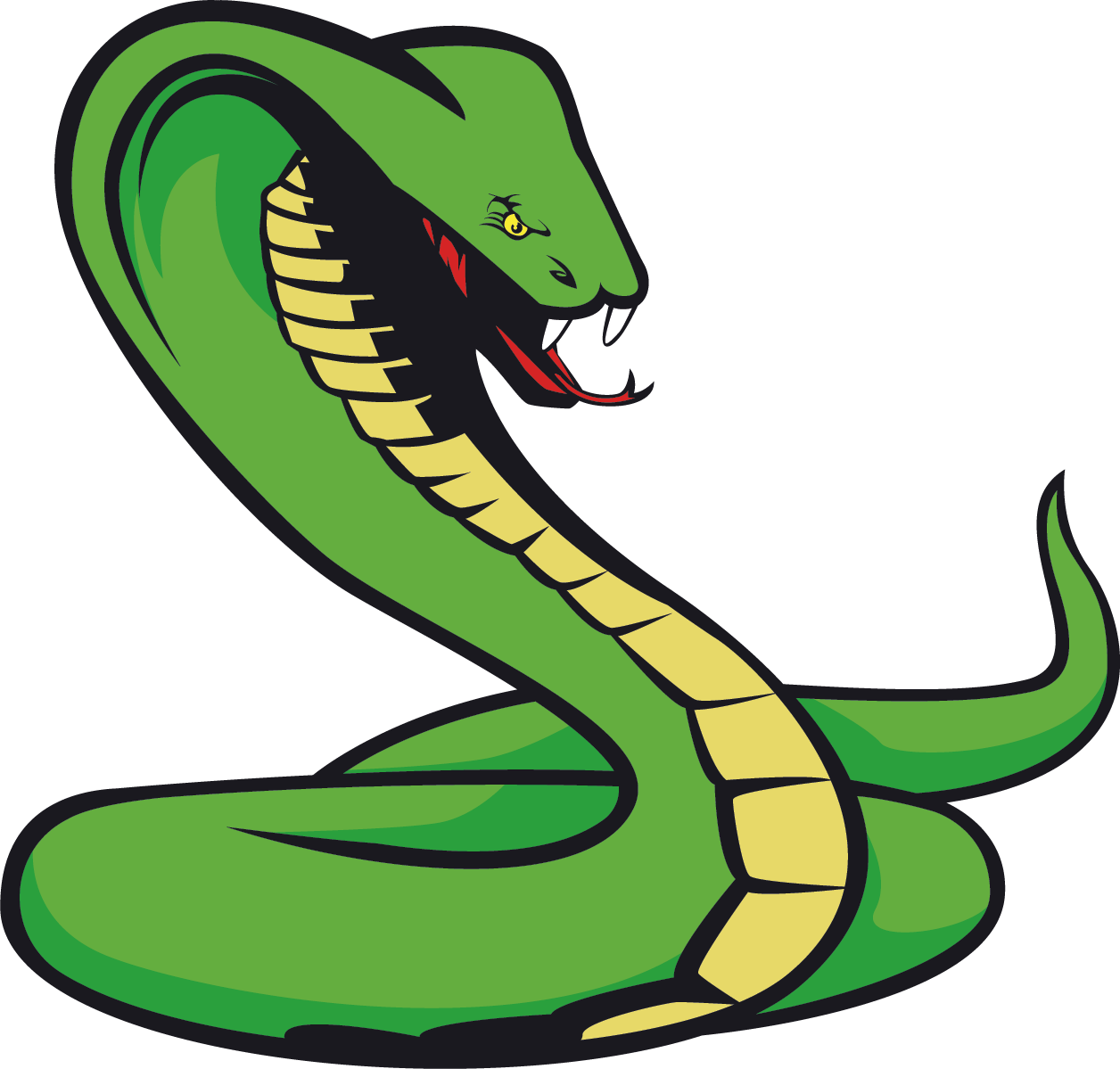 Vector Snake Png File (black, green, salmon, white, olive)