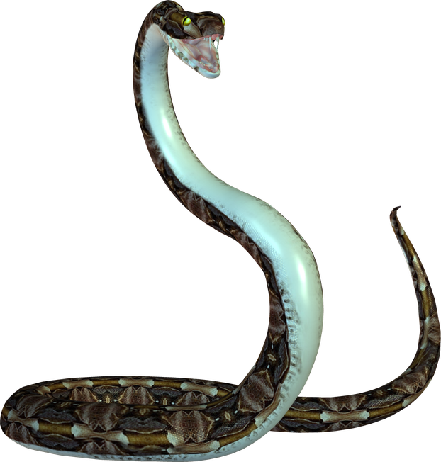 Vector Snake Png Image (black)