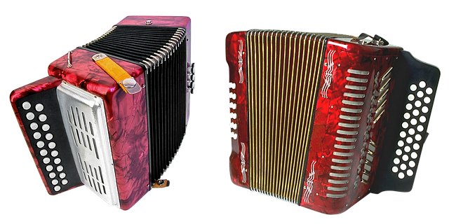 Red Accordion Png Transparent (black)