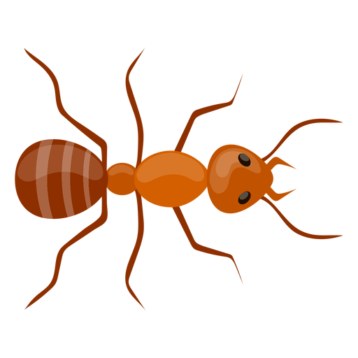 Red Ant Png File (black, maroon, chocolate)