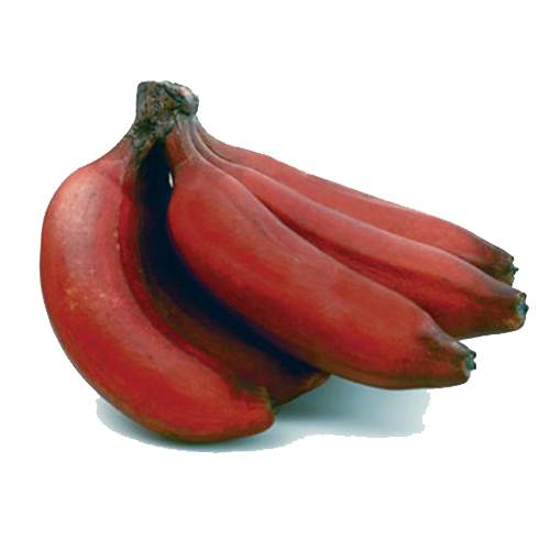 Red Banana Png File (black, maroon, white)