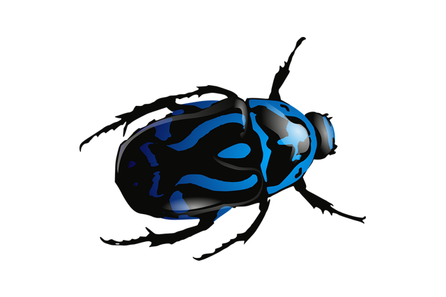 Bed Bug Pest Png File (indigo, white, silver, black, lavender)