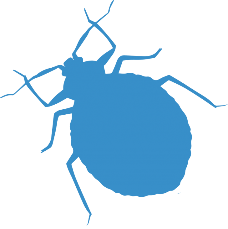 Bed Bugs Png Photos (white, black, teal)