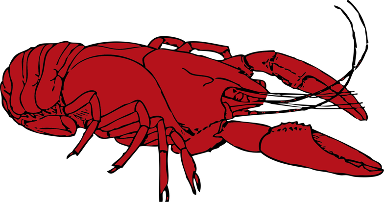 Red Crawfish Png File (black, maroon)