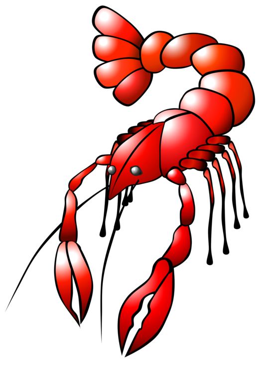 Red Crawfish Png Isolated File (black, white, red)