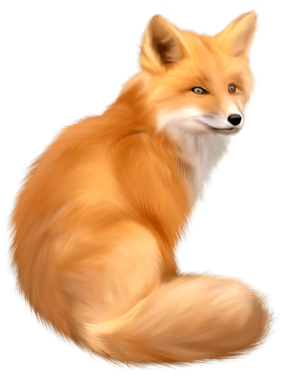 Red Fox Png Isolated Photo (gray)