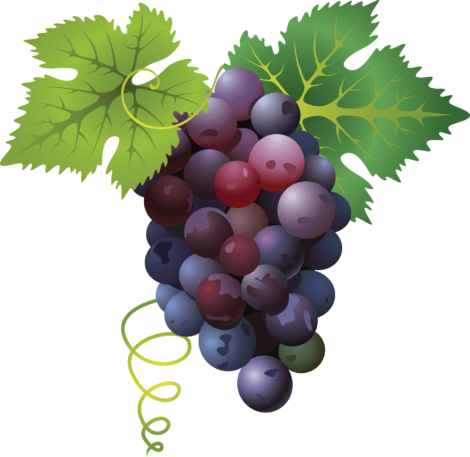 Red Grapes Png File (olive, gray)