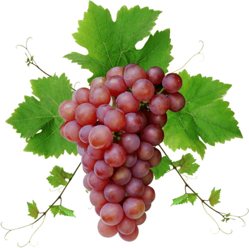 Red Grapes Png Photos (black)