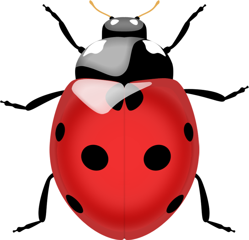 Red Ladybug Insect Png Clipart (black, silver, chocolate)