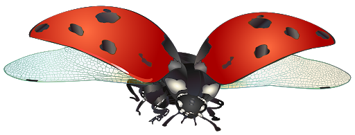 Red Ladybug Insect Png Image (black, maroon, chocolate)