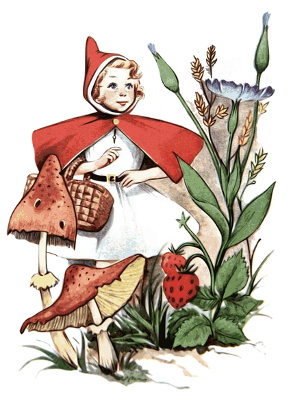 Red Riding Hood Png Hd Isolated (chocolate, black, white)