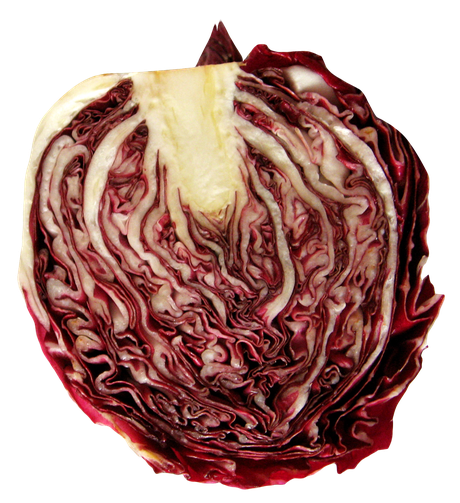 Red Cabbage Png Clipart (black)