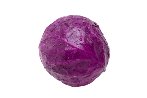 Red Cabbage Png File (gray)