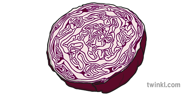 Red Cabbage Png Image (gray, silver, maroon)