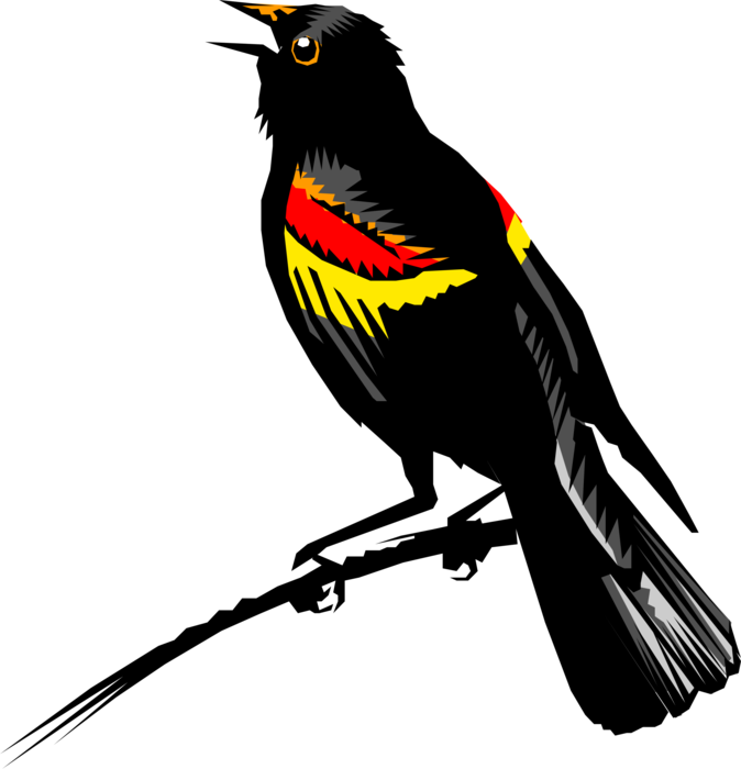 Red Winged Blackbird Png Free Download (red, black)