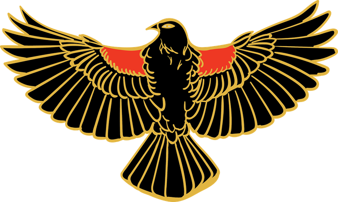 Red Winged Blackbird Png Hd (chocolate, black)