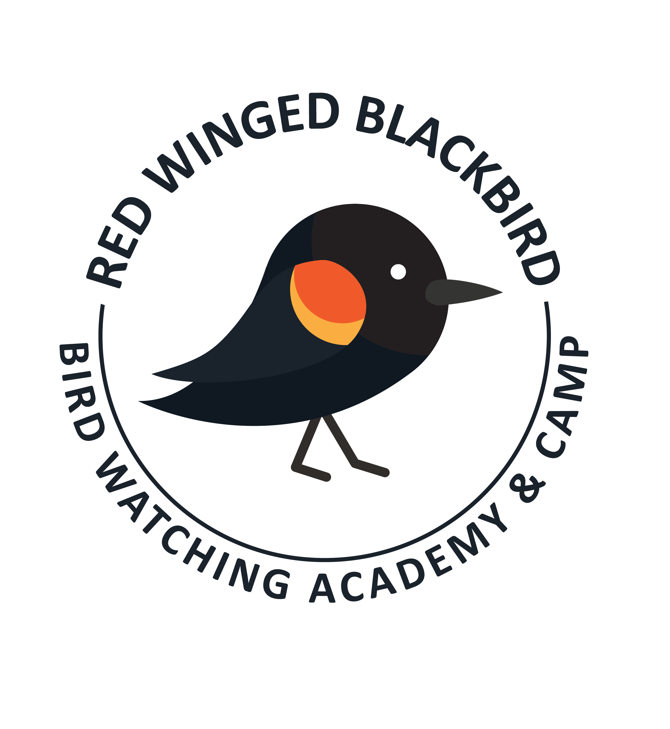 Red Winged Blackbird Png Transparent (gray, black)