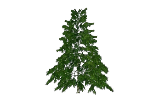 Cedar Tree Png Transparent Image (black, green)